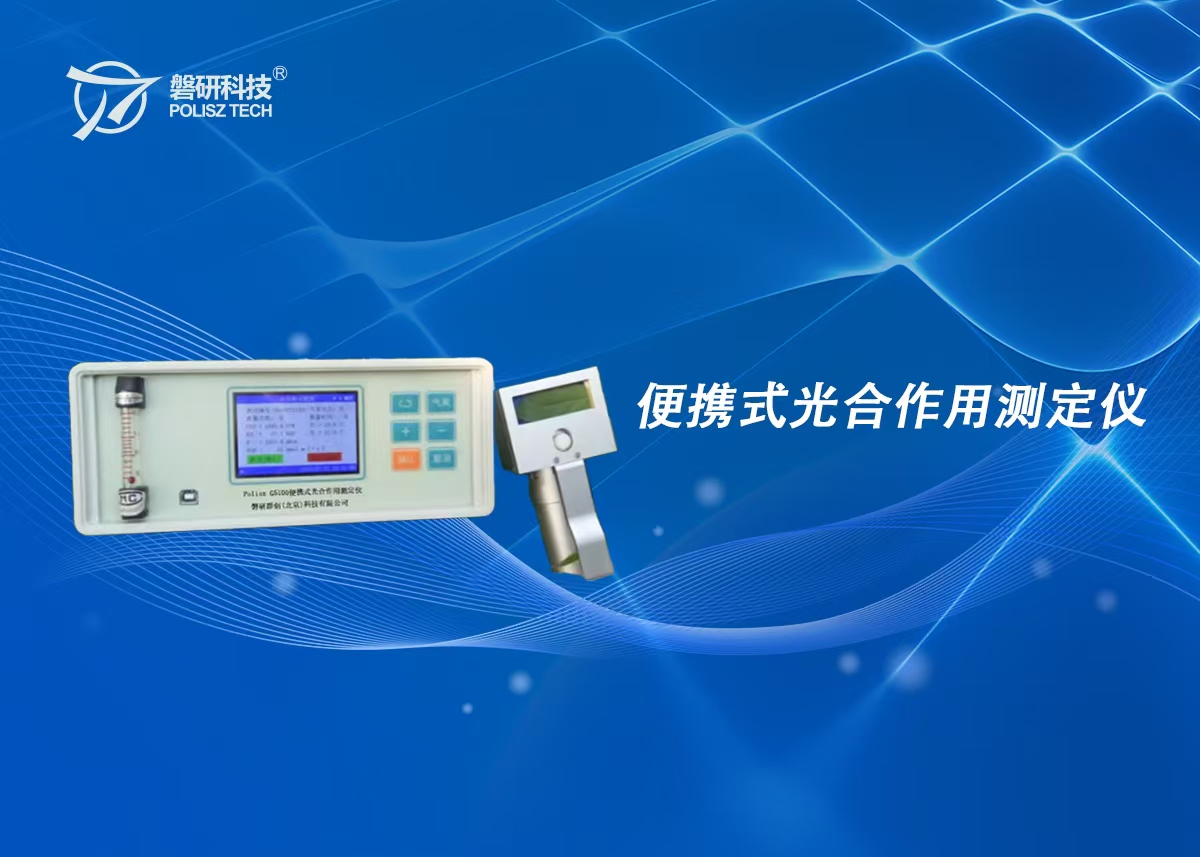 Portable photosynthesis tester