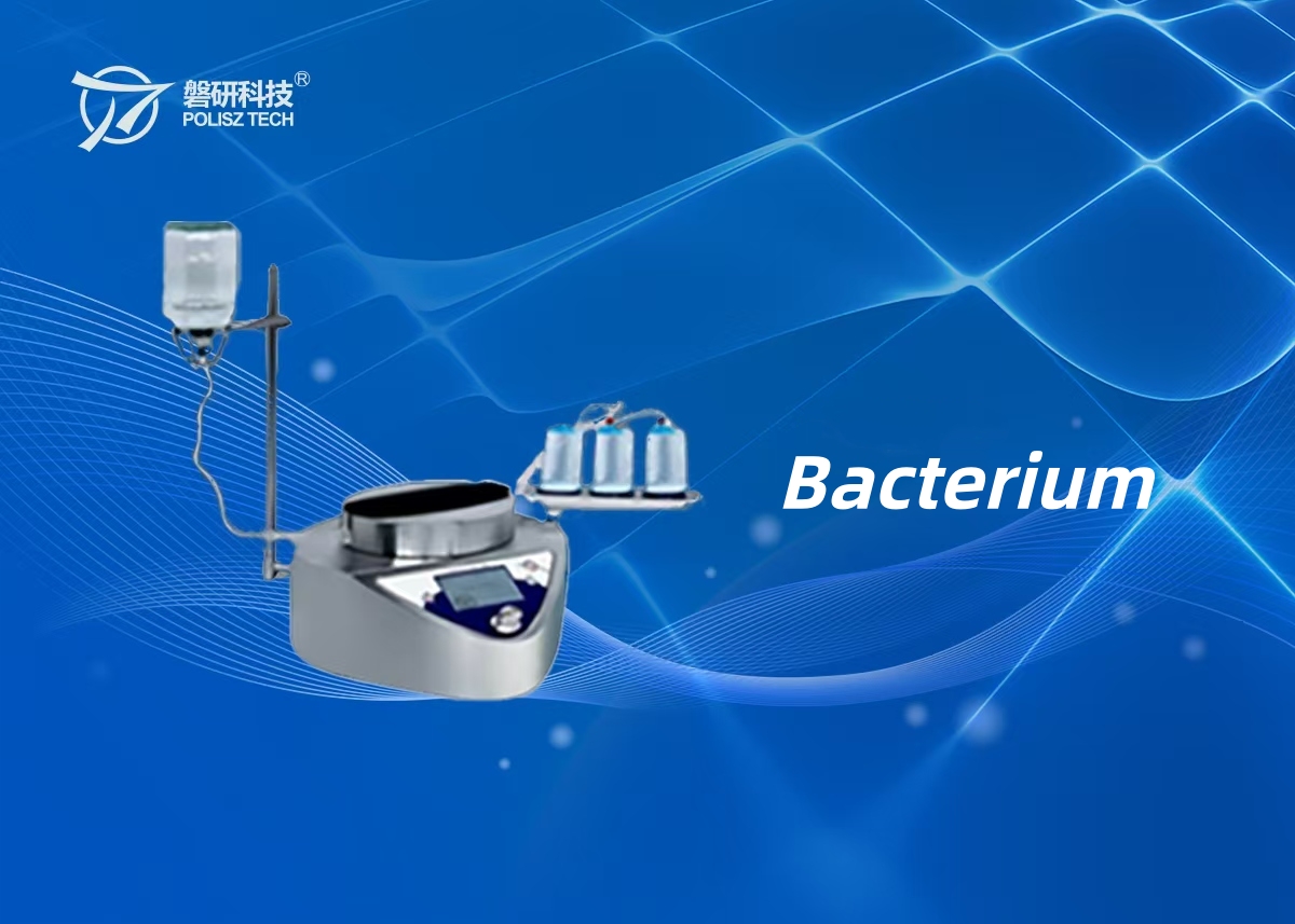 Bacterium
